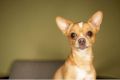 虽然《GTA6》还没出 但T2刚刚首次提到了《GTA7》